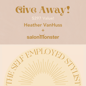Win The Self Employed Stylist Blueprint By Heather VanHuss
