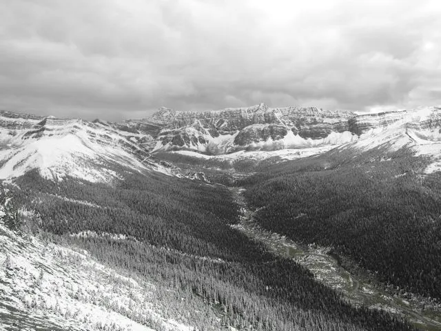 wilcox pass