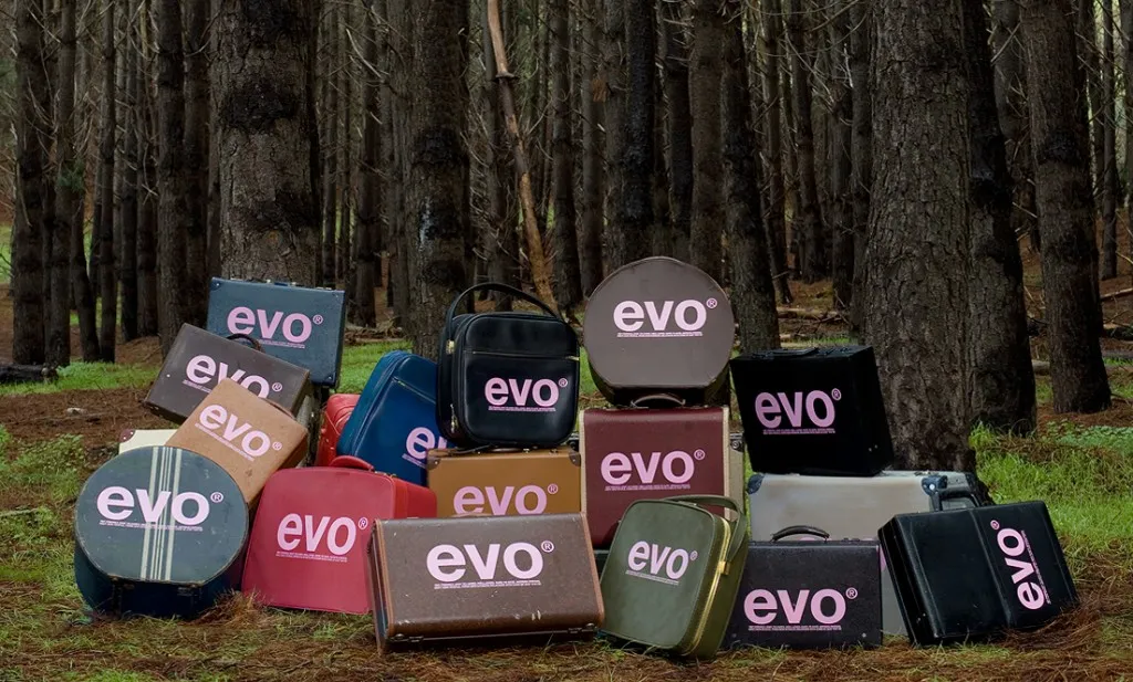 evo_cases1
