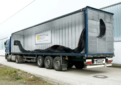 truck_ponytail