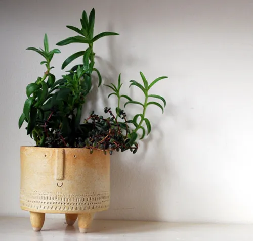 ochre pot with plant head