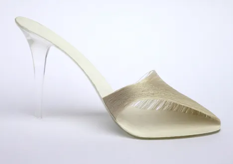 silk shoe 2