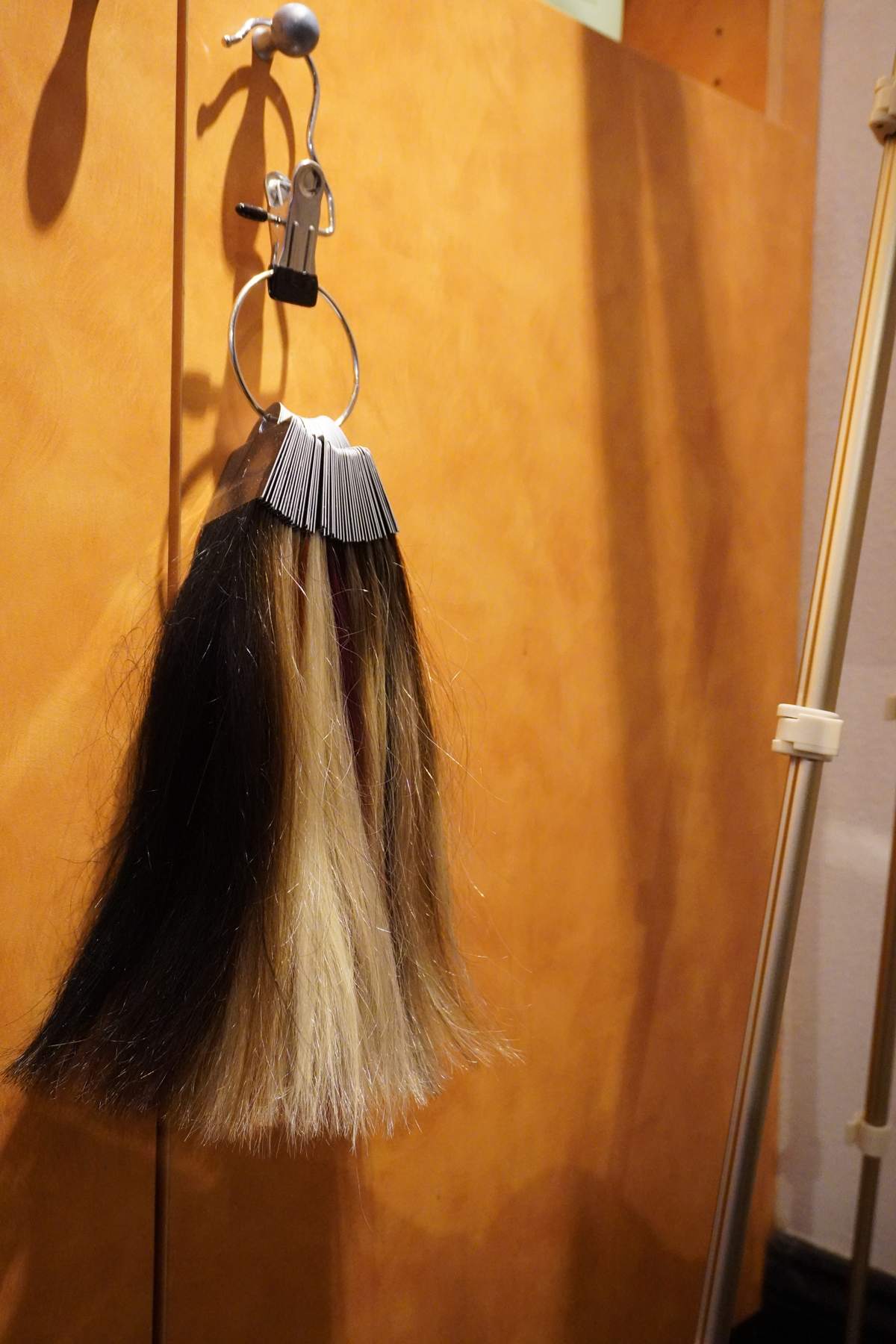 A ring of hair colour swatches hanging on a salon wall