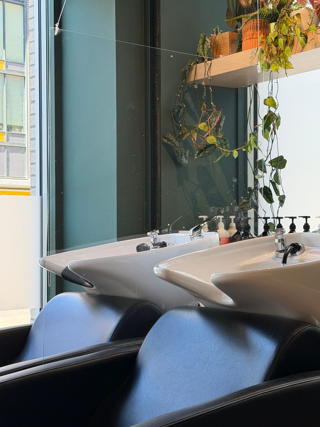 Two white wash basins and reclining chairs beneath a shelf of trailing plants