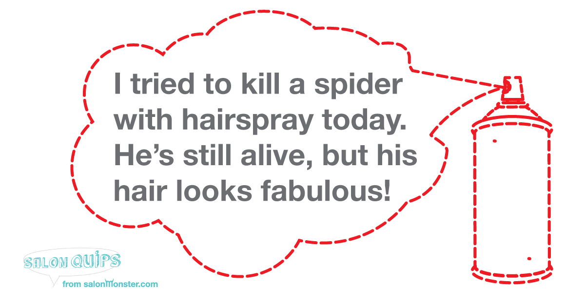 I-tried-to-kill-a-spider-with-hairspray-today.png